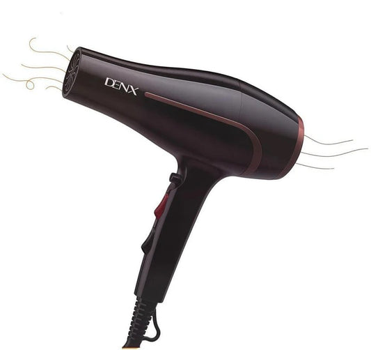 DENX Professional Hair Dryer