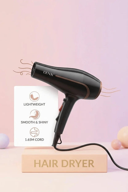 DENX Professional Hair Dryer